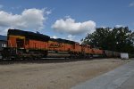 BNSF 9377 Roster shot